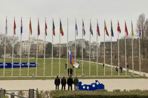 Olena Bogdan’s address at the Council of Europe CDADI plenary session on March 15, 2022