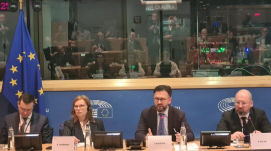 Andrii Nadzhos urged European colleagues to collaborate in securing the release of imprisoned Ukrainian artists and media professionals