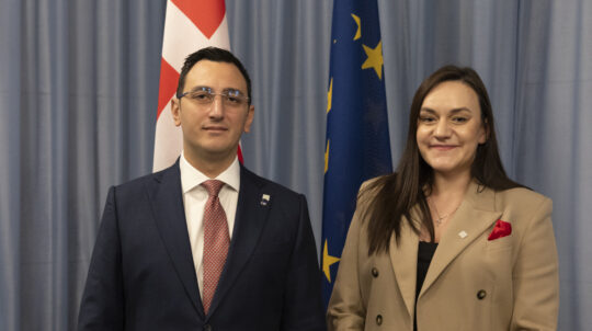 ЄС і Україна посилюють співпрацю у сфері культури: підсумки зустрічі Тетяни Бережної з Гленном Мікаллефом у Копенгагені