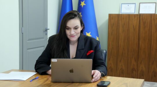 Тетяна Бережна виступила перед Комітетом ПАРЄ та закликала  до посилення міжнародного захисту української культурної спадщини