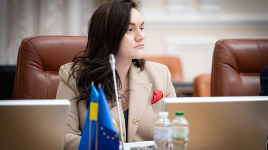 Запровадження інституту меценацтва в Україні: Уряд схвалив розроблений Мінкультом законопроєкт про меценатство