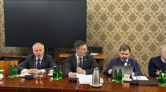 Українсько-польська робоча група з питань історичної пам’яті визначила плани пошуково-ексгумаційних робіт на 2026 рік